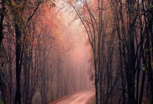 马其顿国家队豪取欧预赛连胜