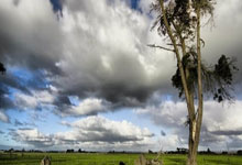 赛场风云再起，球员豪气挺胸闯进下一轮