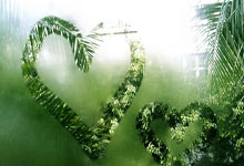 阿根廷选手斩获马拉松比赛铜牌，奔跑书写南半球的荣耀