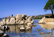 马其顿国家队豪取欧预赛连胜