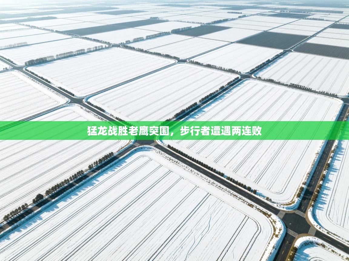 猛龙战胜老鹰突围，步行者遭遇两连败  第2张