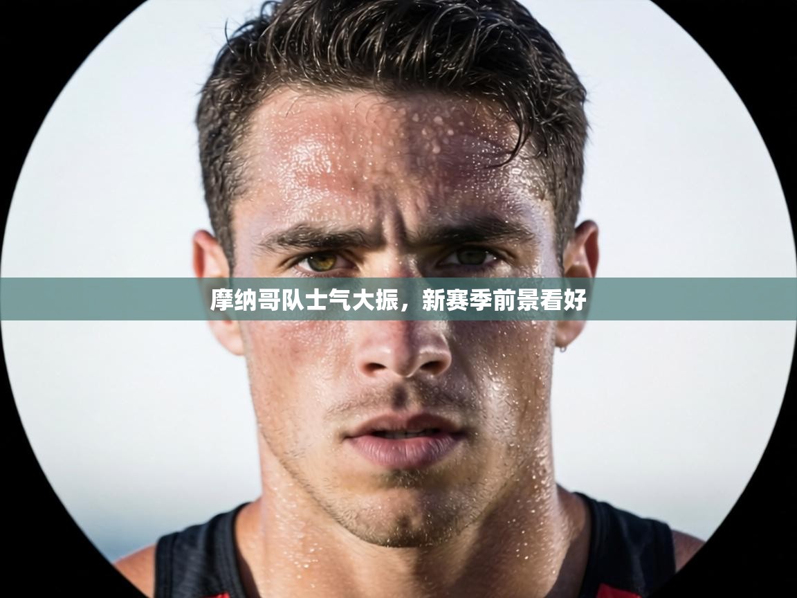 摩纳哥队士气大振，新赛季前景看好  第2张